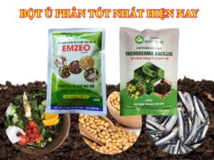 Chế phẩm vi sinh emzeo là một trong những chế phẩm sinh học, bột ủ phân tốt nhất hiện nay