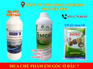 Địa chỉ bán chế phẩm EM gốc ở đâu uy tín, chất lượng nhất
