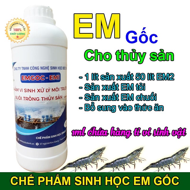 EM gốc không thể thiếu trong nuôi trồng thủy sản