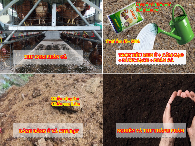 Cách ủ phân hữu cơ tại nhà đơn giản cho nhà nông