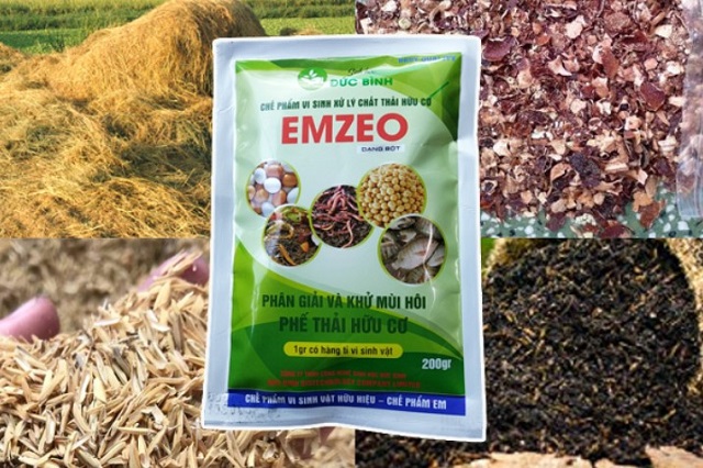 Cách ủ phân hữu cơ tại nhà từ các phế phẩm nông nghiệp