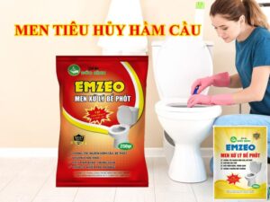 Vi sinh hầm tự hoại là gì? khi nào nên sử dụng?
