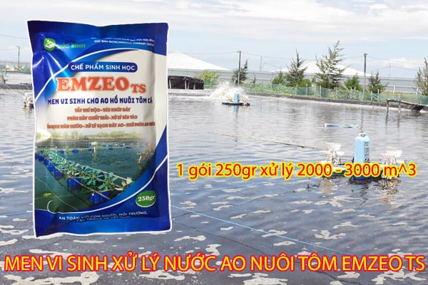 Cách sử dụng men vi sinh xử lý nước ao tôm EmzeoTS đơn giản, dễ thực hiện, hiệu quả cao