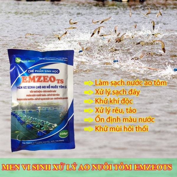 Men vi sinh xử lý nước ao tôm EmzeoTS có nhiều công dụng nổi bật