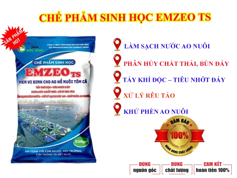 Chế phẩm sinh học cho cá tôm loại nào tốt?