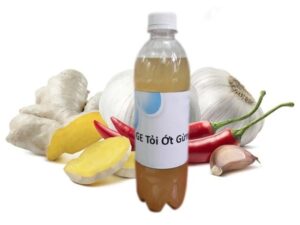 Bật mí cách làm GE gừng tỏi ớt nhanh, trừ sâu hiệu quả cho vườn cây