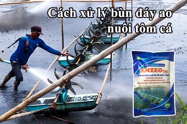 Cách xử lý bùn đáy ao nuôi tôm cá tiết kiệm, hiệu quả