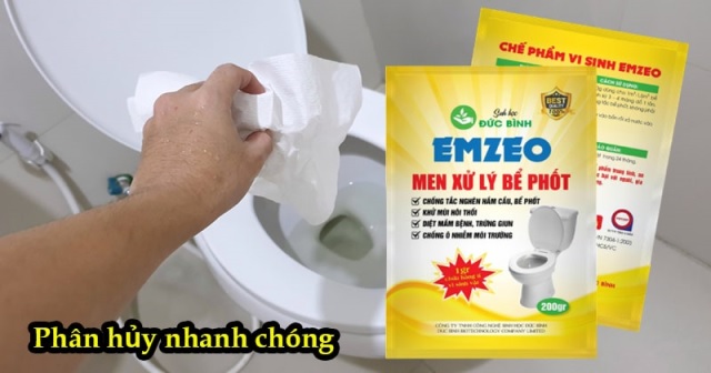 Men xử lý bể phốt Đức Bình là giải pháp hiệu quả để khắc phục tình trạng đầy hầm cầu, mùi hôi khó chịu