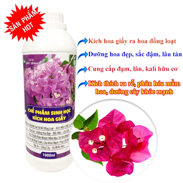 Lý do nên sử dụng phân thuốc kích hoa giấy Đức Bình