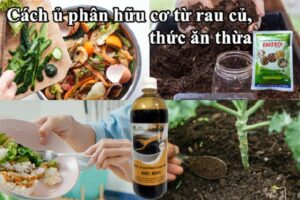 Cách ủ phân hữu cơ từ rau củ, thức ăn thừa thành công 100%