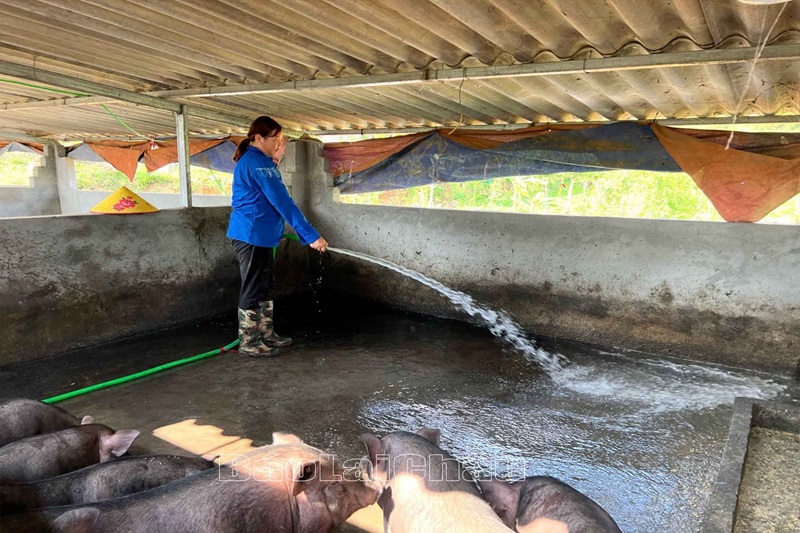 Bảo vệ môi trường trong quá trình chăn nuôi đảm bảo cho sức khỏe con người, hệ sinh thái và thúc đẩy sự phát triển bền vững
