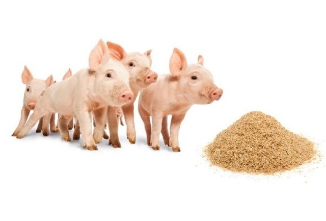 Các sản phẩm công nghệ vi sinh vật trong sản xuất nông nghiệp (Ứng dụng công nghệ vi sinh trong nông nghiệp) - Men vi sinh