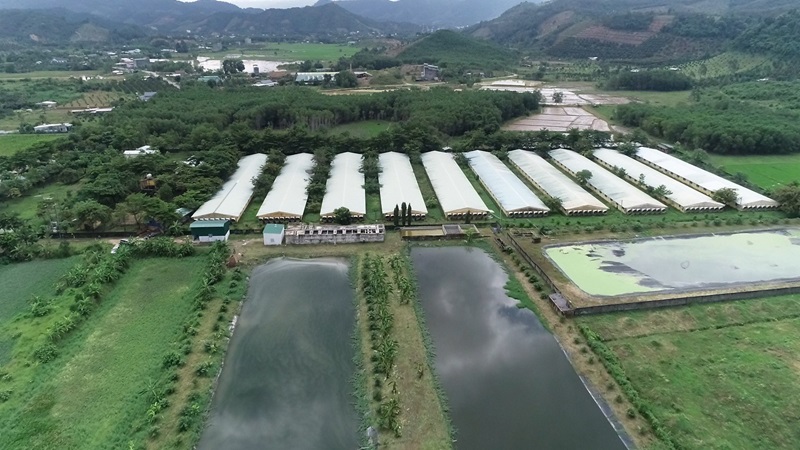 Chăn nuôi tích hợp không chỉ tối ưu hóa việc sử dụng tài nguyên mà còn giảm thiểu ô nhiễm môi trường