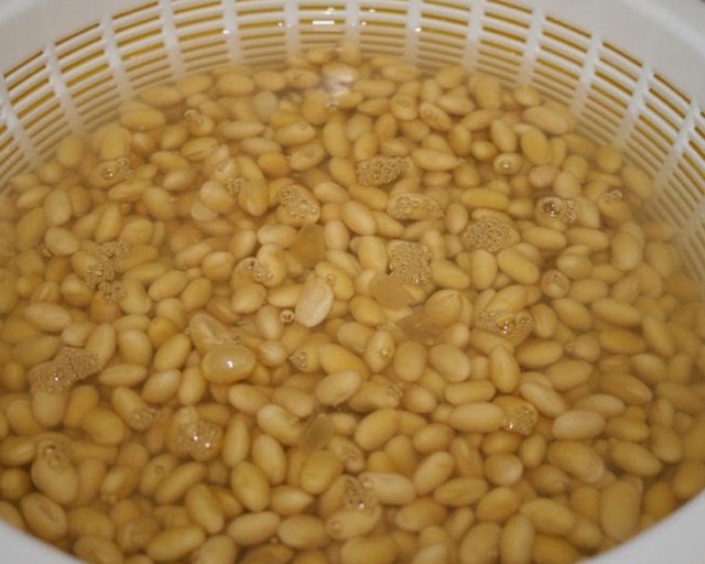 Đậu nành sử dụng để làm nước tương phải trải qua quá trình ngâm và rửa xối 