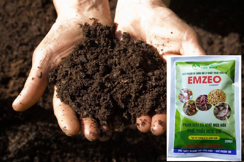 Dùng chế phẩm Emzeo Đức Bình để ủ phân bắc có hiệu quả