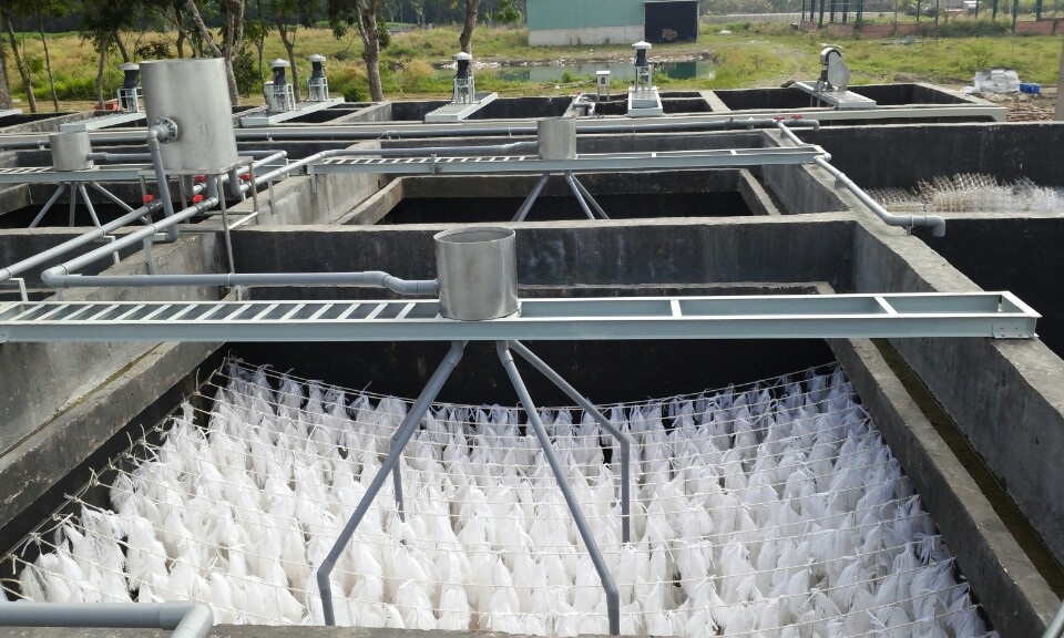 Giá thể vi sinh hỗ trợ việc phát triển bền vững trong nuôi trồng thủy sản