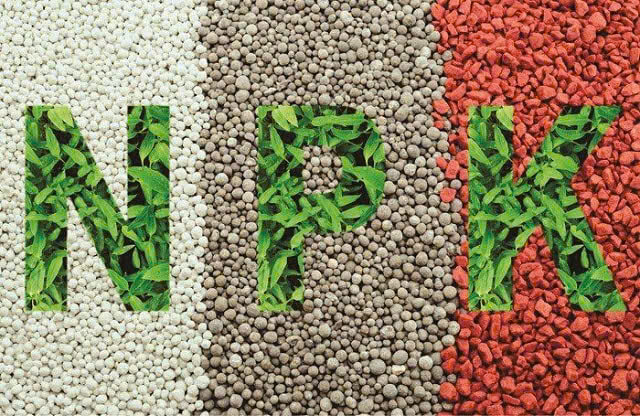 Hiểu phân NPK là gì trước khi biết cách bón NPK cho cây cảnh