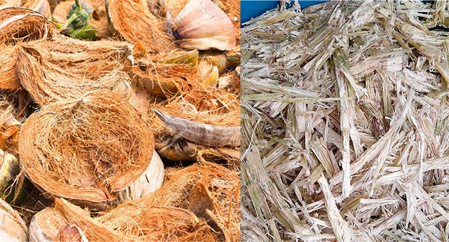 Lượng phế phẩm nông nghiệp thải ra tại Việt Nam hàng năm là rất lớn 