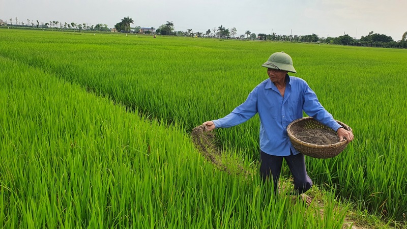 Mỗi loại cây trồng phù hợp với một nhóm phân lân nhất định