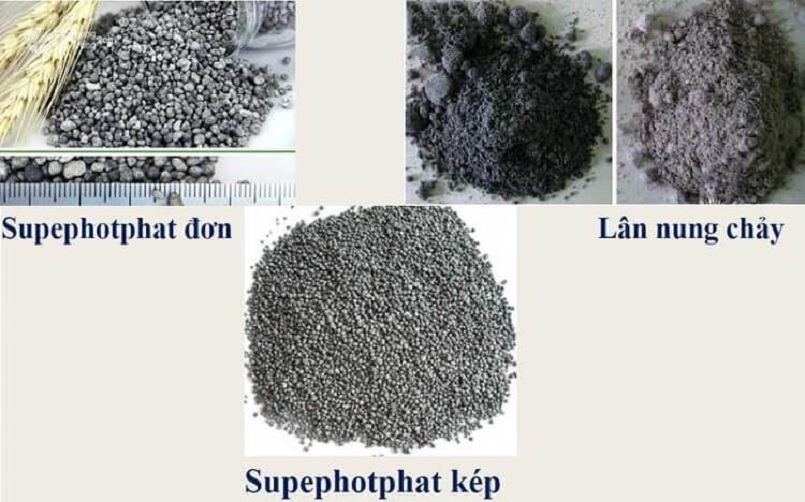 Một số loại phân lân chế biến phổ biến