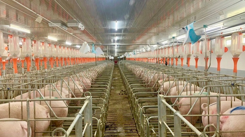 Nghiên cứu và phát triển công nghệ giúp nâng cao hiệu quả sản xuất 