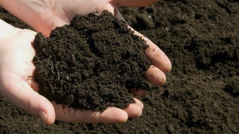 Phân bắc là gì? là nguồn phân bón có nguồn gốc từ chất thải người