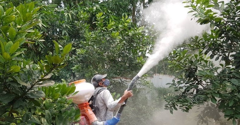 Thuốc trừ sâu chuyên dụng là một giải pháp hiệu quả và cần thiết trong việc kiểm soát rệp sáp