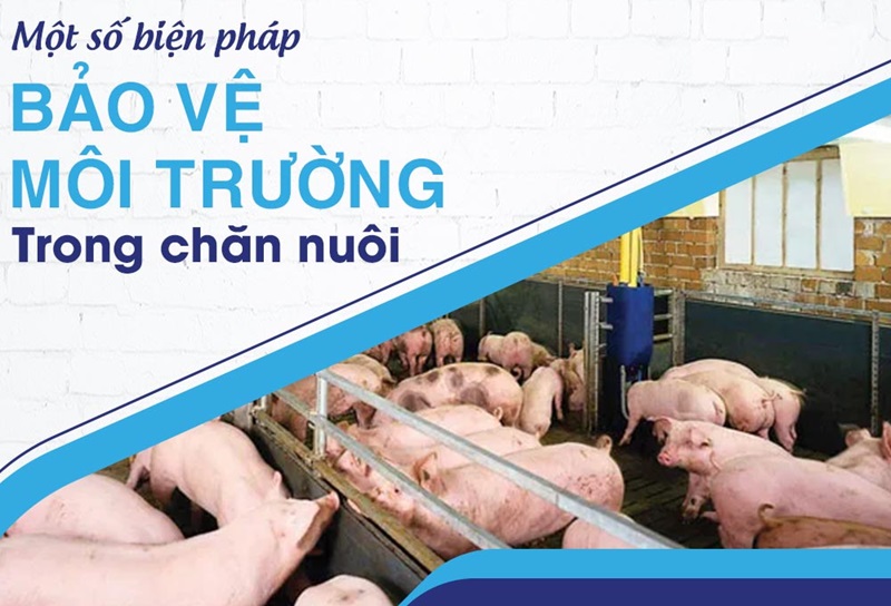 Tác động tiêu cực đến môi trường từ ngành chăn nuôi đòi hỏi cần có sự quản lý và các phương pháp bền vững