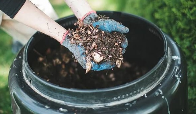 Tổng hợp một số yếu điểm của mùn bã hữu cơ