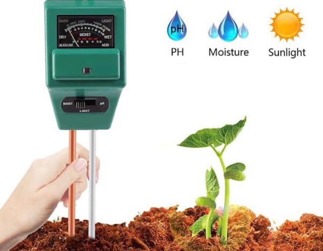 Vi sinh vật giảm pH đất, cây sẽ hấp thụ nhanh photpho hơn