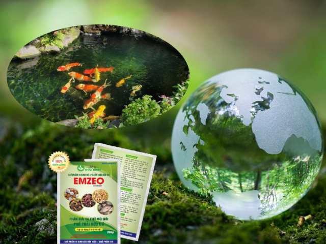 Phương pháp an toàn, thân thiện với môi trường