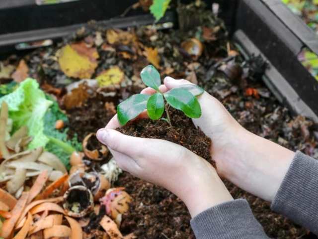 Phương pháp thân thiện với môi trường, tiết kiệm chi phí