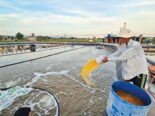 Sử dụng chế phẩm vi sinh để kiểm soát vi khuẩn