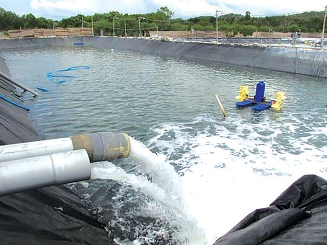 Thay nước định kỳ cho ao tôm