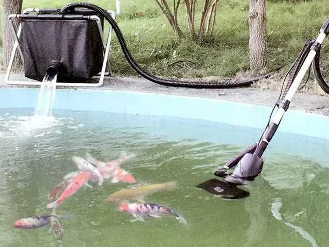 Vệ sinh hồ cá trước khi thả vi sinh