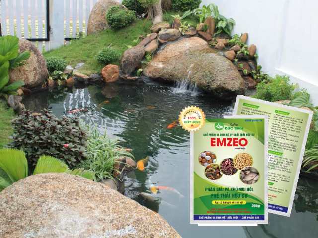 Vi sinh khử mùi hồ cá giúp phân hủy các chất hữu cơ thừa