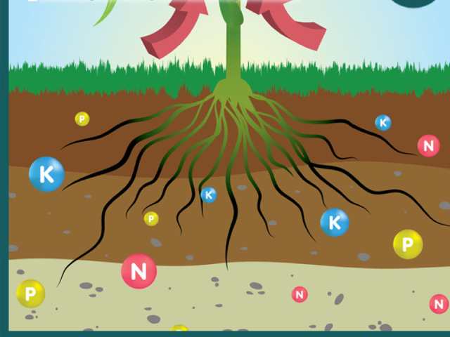 Vi sinh vật phân hủy các hợp chất hữu cơ phức tạp