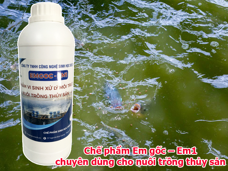 Chế phẩm Em gốc – Em1 chuyên dùng cho nuôi trồng thủy sản