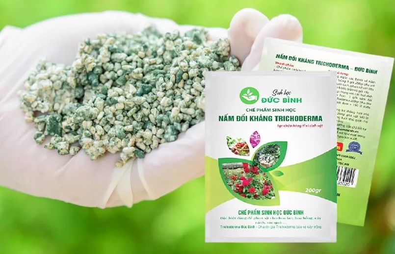 Chế phẩm sinh học Trichoderma – Đức Bình