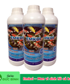 Men vi sinh xử lý nước hồ cá koi – Emkoi