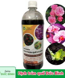 Dịch trùn quế Đức Bình là chế phẩm dịch trùn quế cho hoa hồng, hoa lan và rau quả