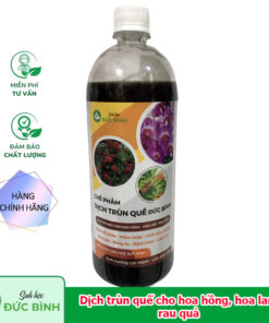 Dịch trùn quế Đức Bình chuyên biệt cho hoa hồng, hoa lan, rau quả