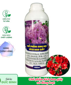 Chế phẩm thuốc kích hoa giấy ra hoa đồng loạt