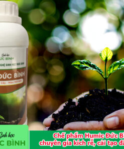 Chế phẩm Humic Đức Bình – chuyên gia kích rễ, cải tạo đất trồng Mạnh rễ - Mạnh cây – Màu mỡ đất