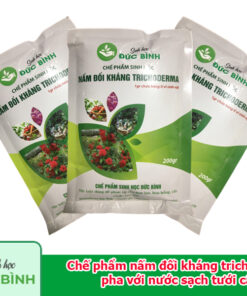 Chế phẩm nấm đối kháng trichoderma pha với nước sạch tưới cây