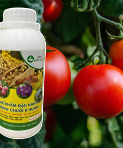 Tại sao bạn nên chọn mua chế phẩm đậu nành ủ HUMIC ĐỨC BÌNH