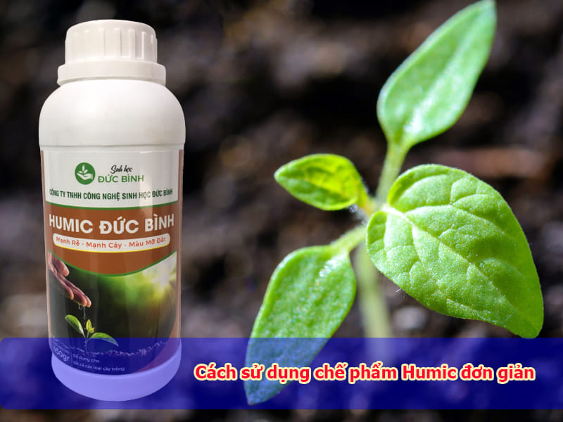 Cách sử dụng chế phẩm Humic đơn giản